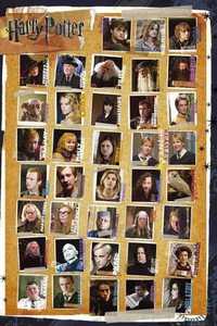 Plakat HARRY POTTER 7 - characters A1 Obraz