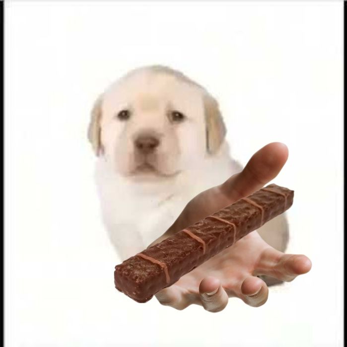 Pegi cult i hub guards