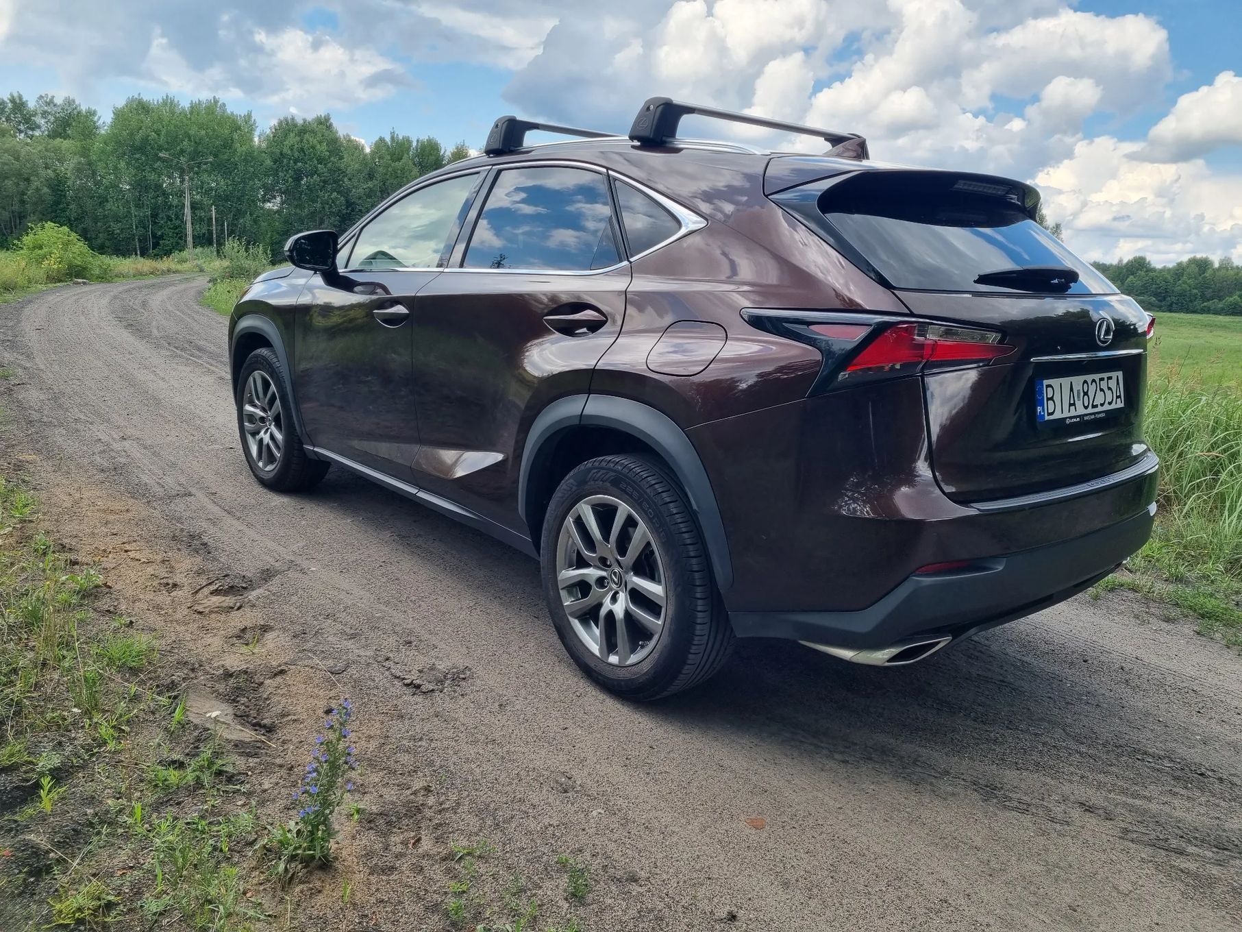 Lexus NX lexus nx 200t AWD 4x4 benzyna bogata wersja grzane wentylowane fotele