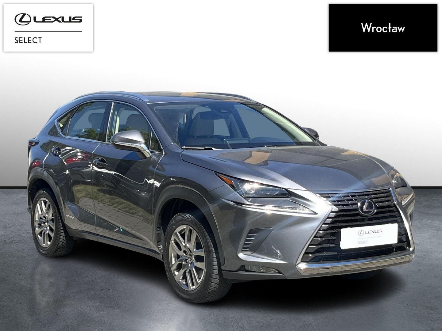 Lexus NX 300h Business Edition | 1wł. | Serwis ASO | FV23%
