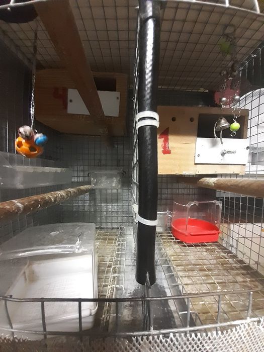 Jaula em  coluna  de apartamentos da para cinco casais