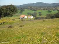A HERDADE 145 hectares a 20min de Vila Viçosa (vila candidata a patrim