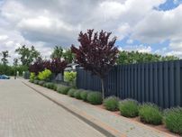 Вітаю. Від забудовника. Продам одноповерховий будинок!