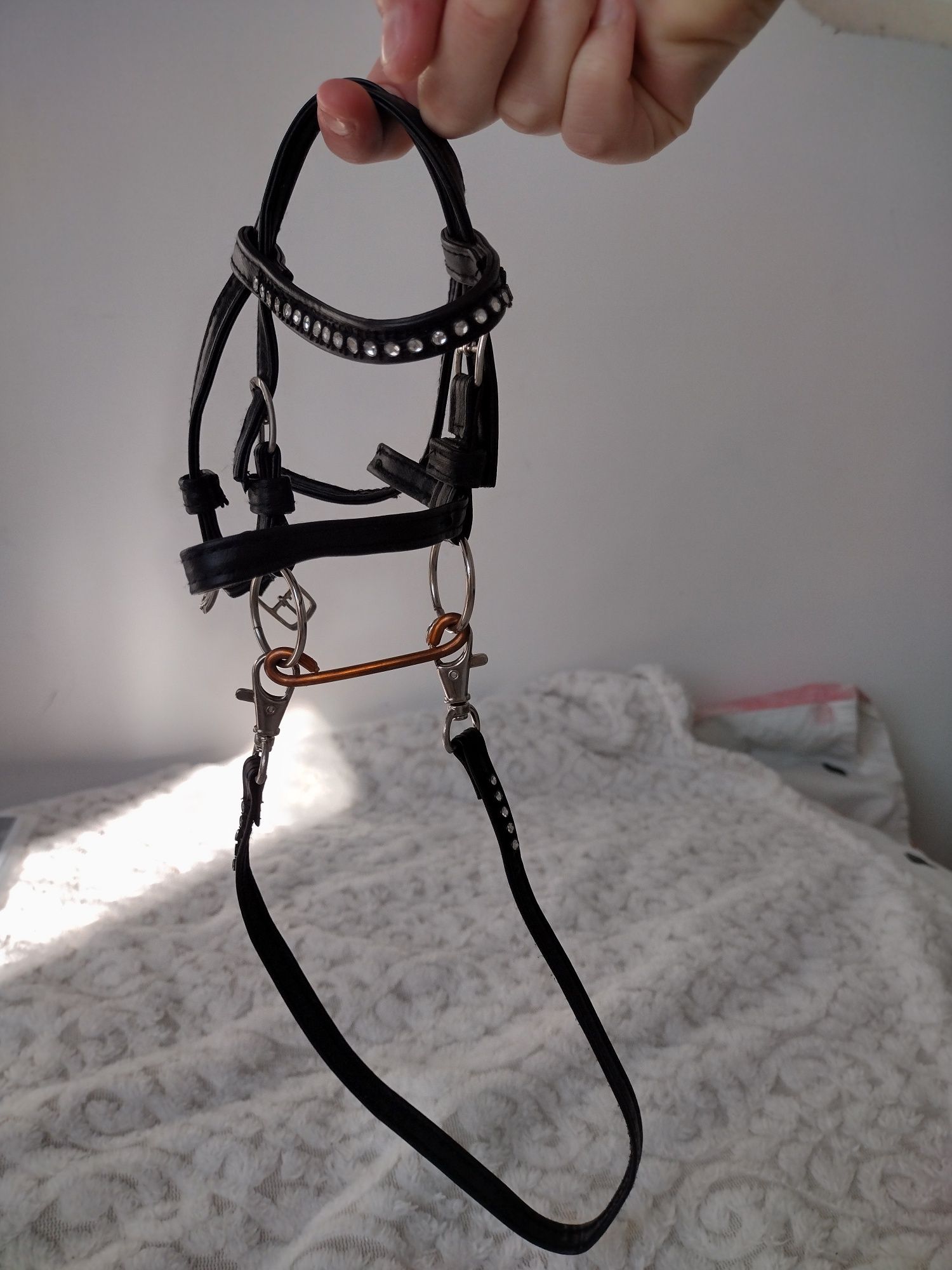 Hobby horse rudy a4