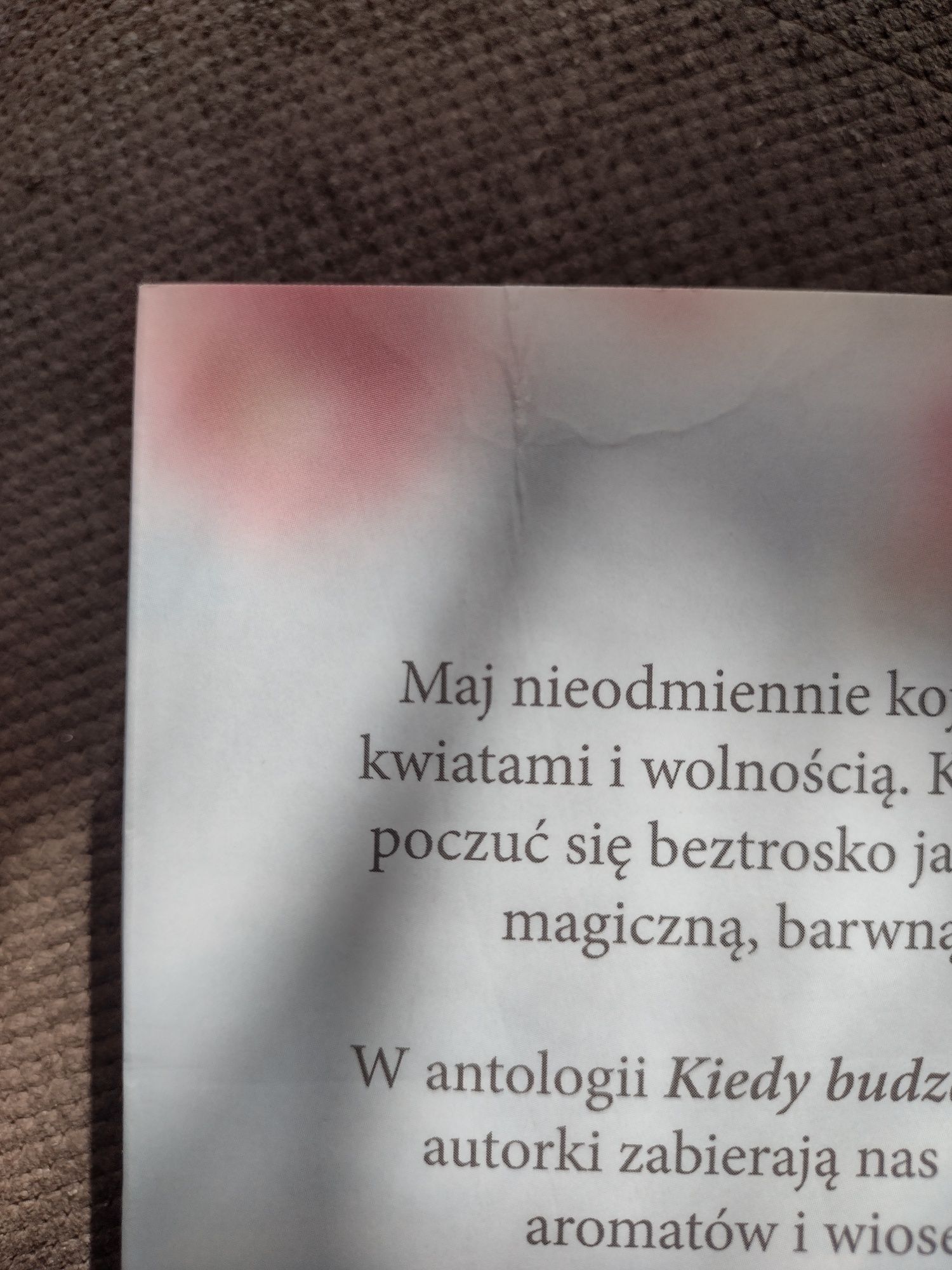 NOWA! "Kiedy budzą się motyle"