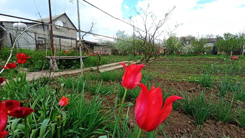 Дом с АГВ село Кошары. 12 соток. Тилигульский лиман. 14 000$. Торг.