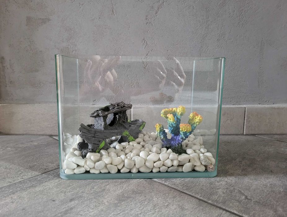 Akwaria 3 sztuki w różnych rozmiarach