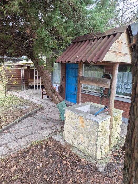 Sprzedam ogródek działkowy ROD Słoneczne w Zabrzu