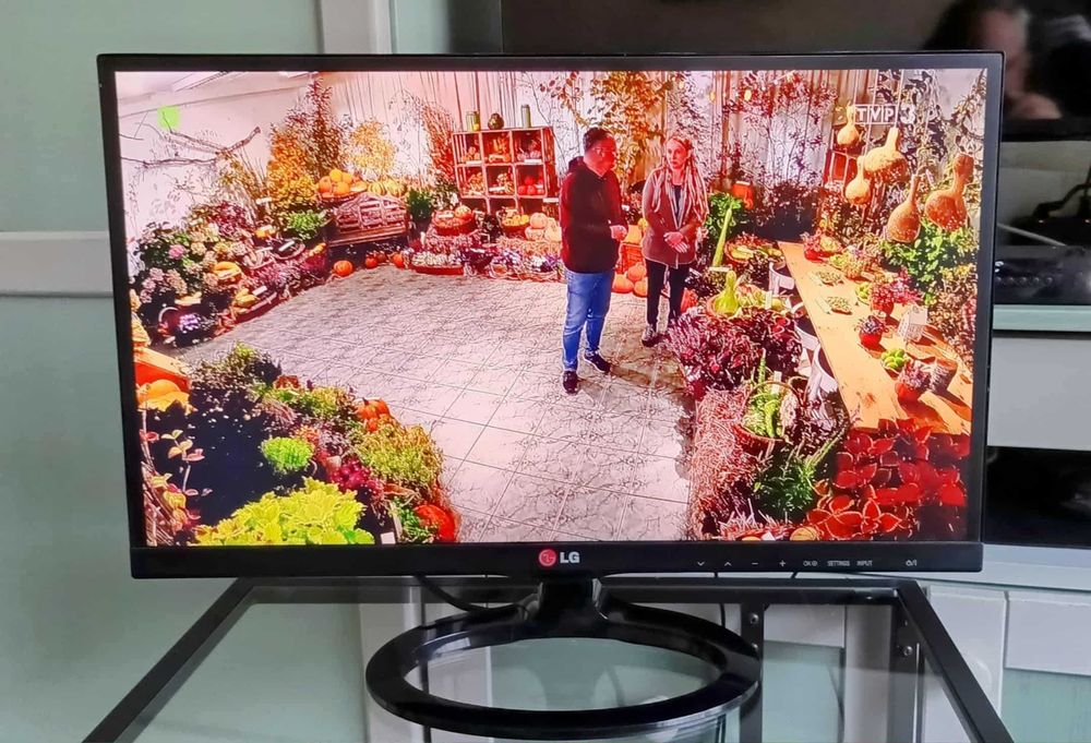 Monitor-Telewizor LG 23MA73D-PZ  Matryca  IPS  FUL HD  23"