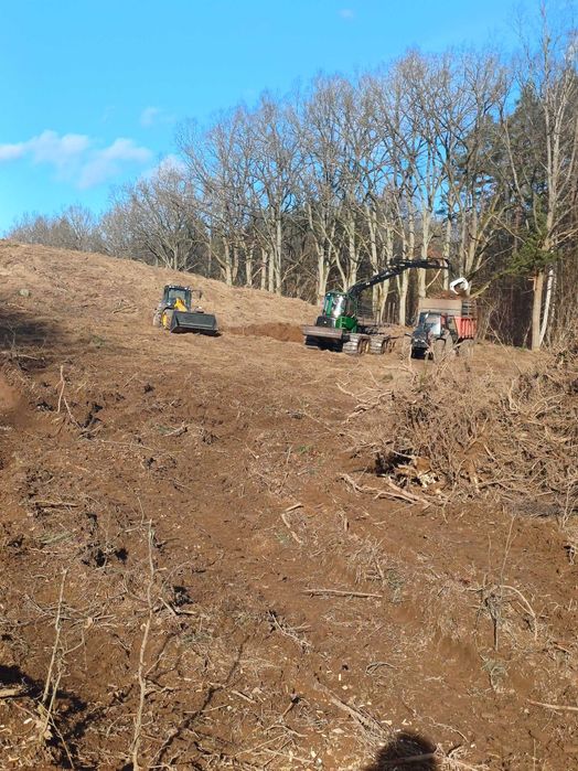 Usługi wycinki drzew usuwanie korzeni