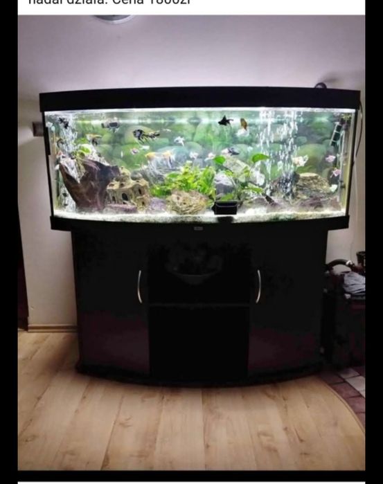 Akwarium Juwel panoramiczne 450 l