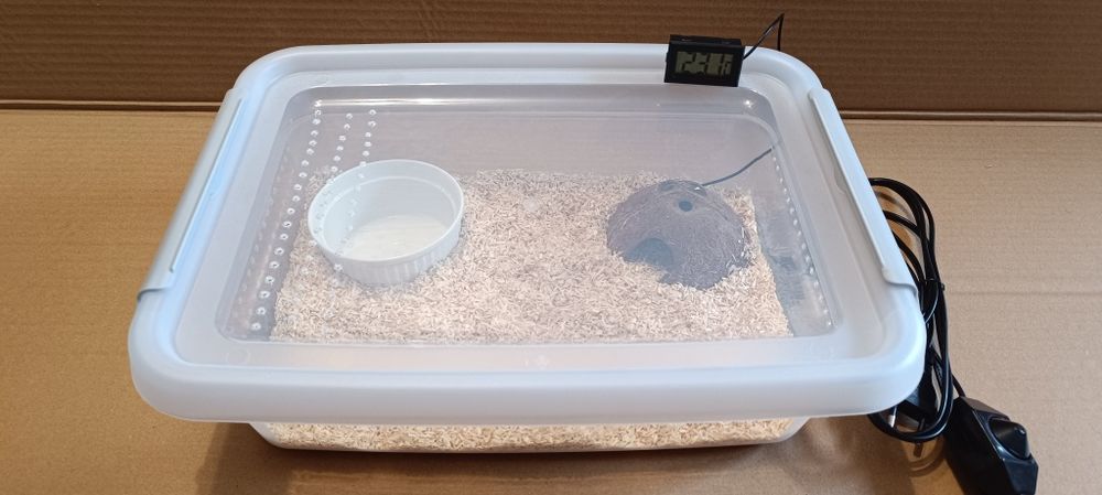 Box dla węża (terrarium) zestaw