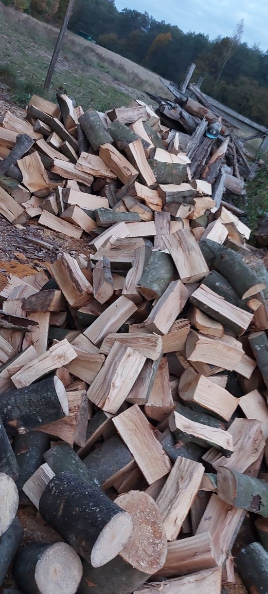 Drewno kominkowe Drewno opałowe buk