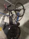 Giant talon 3 stan bdb