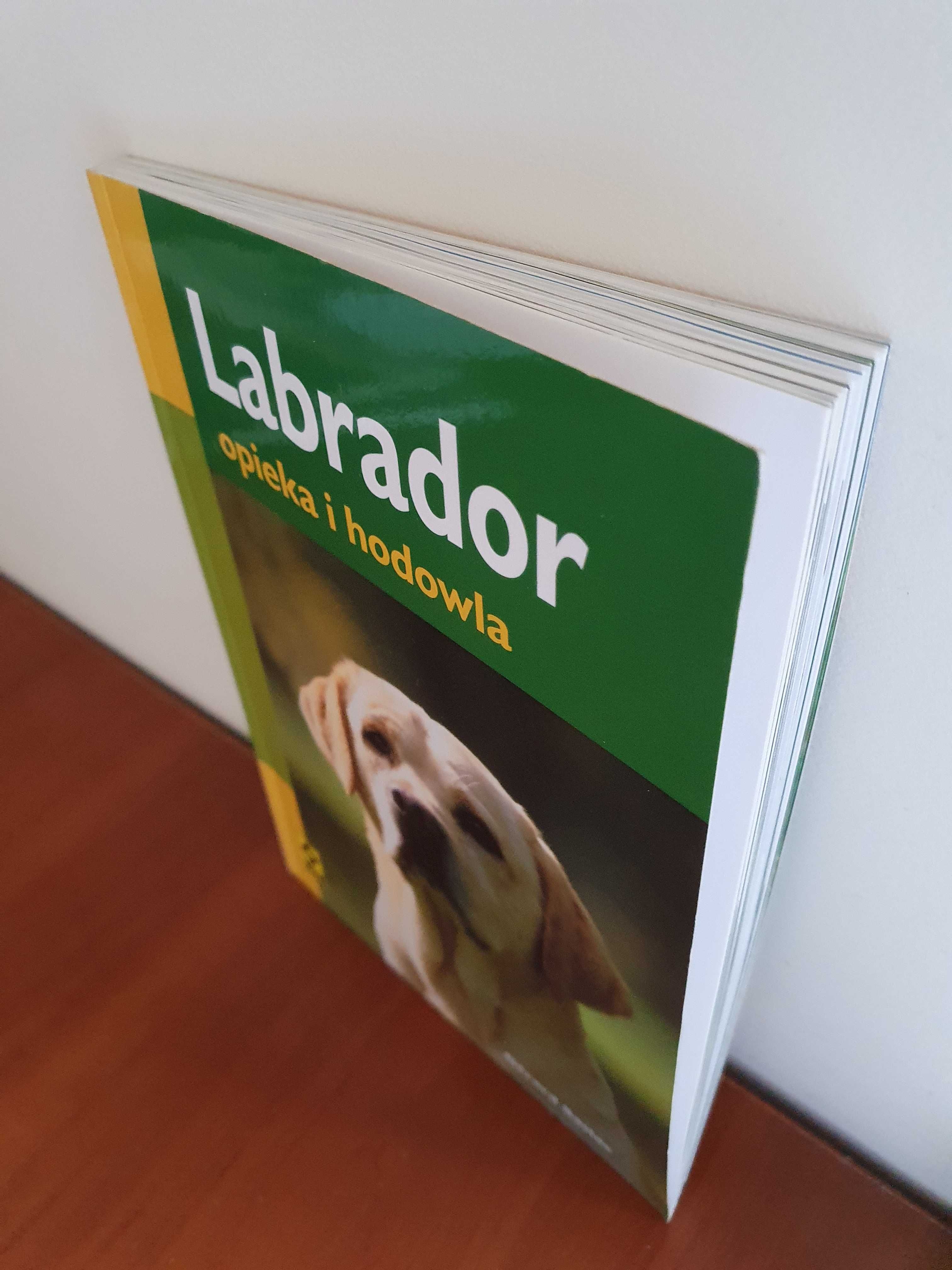 Labrador opieka i hodowla - G.Sasias + gratis