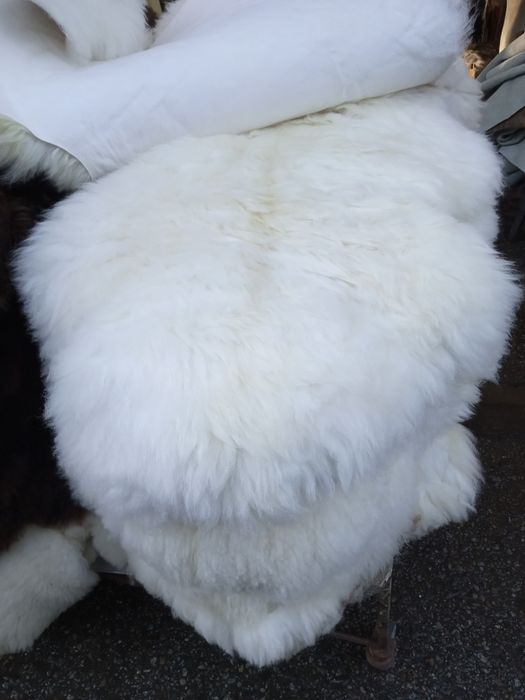 Skóra owcza naturalna 100-110 dlygosci