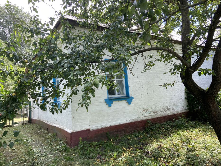 Продам будинок с.Велика Дівиця, Прилуцький район