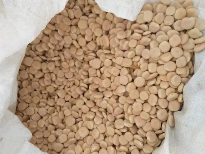 Vende-se tremoços