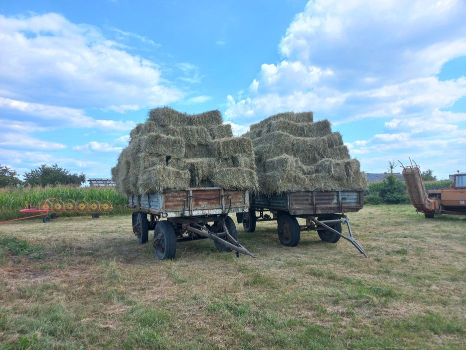 Tegoroczne siano w kostkach