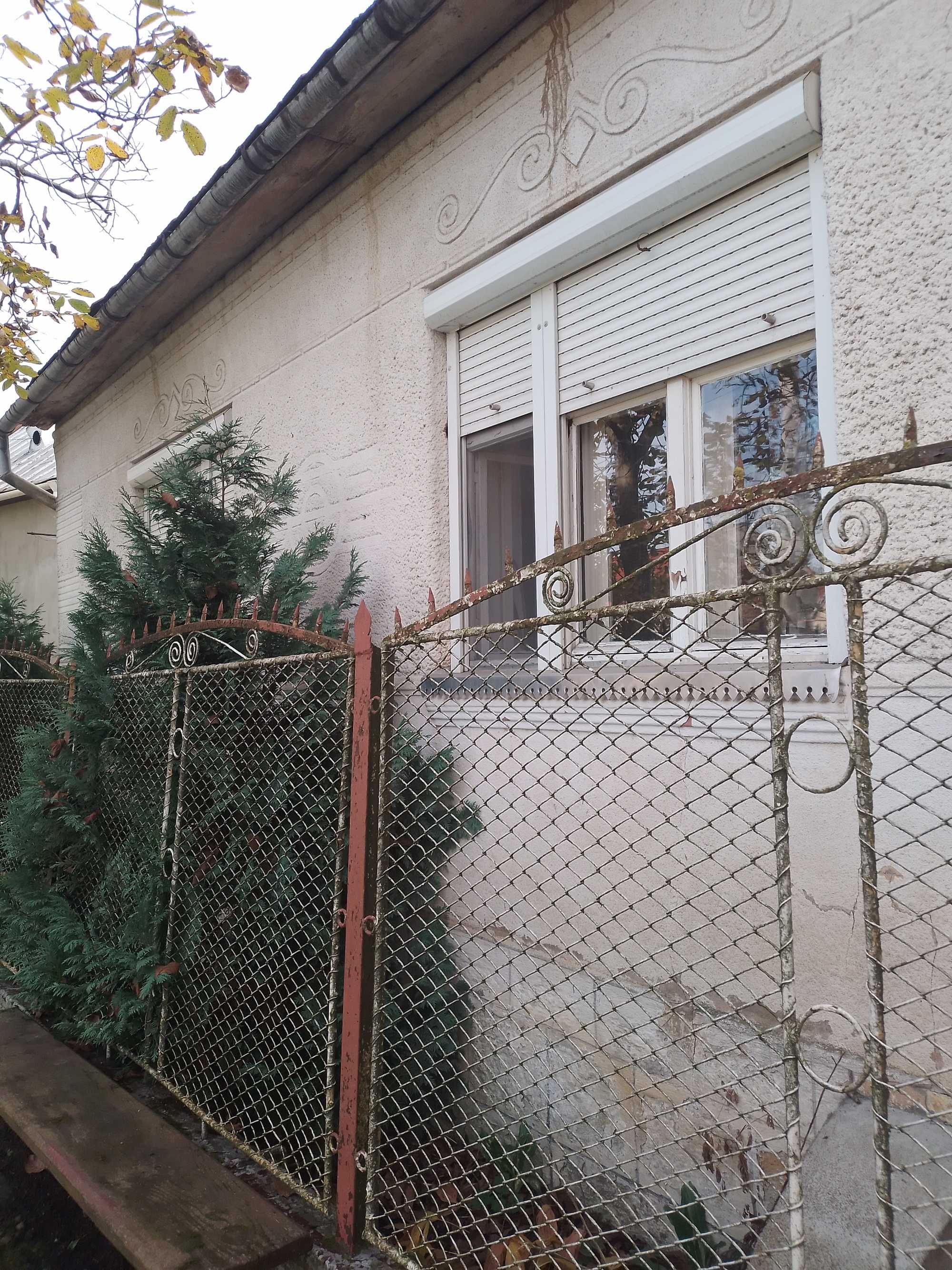 Продається затишний будинок