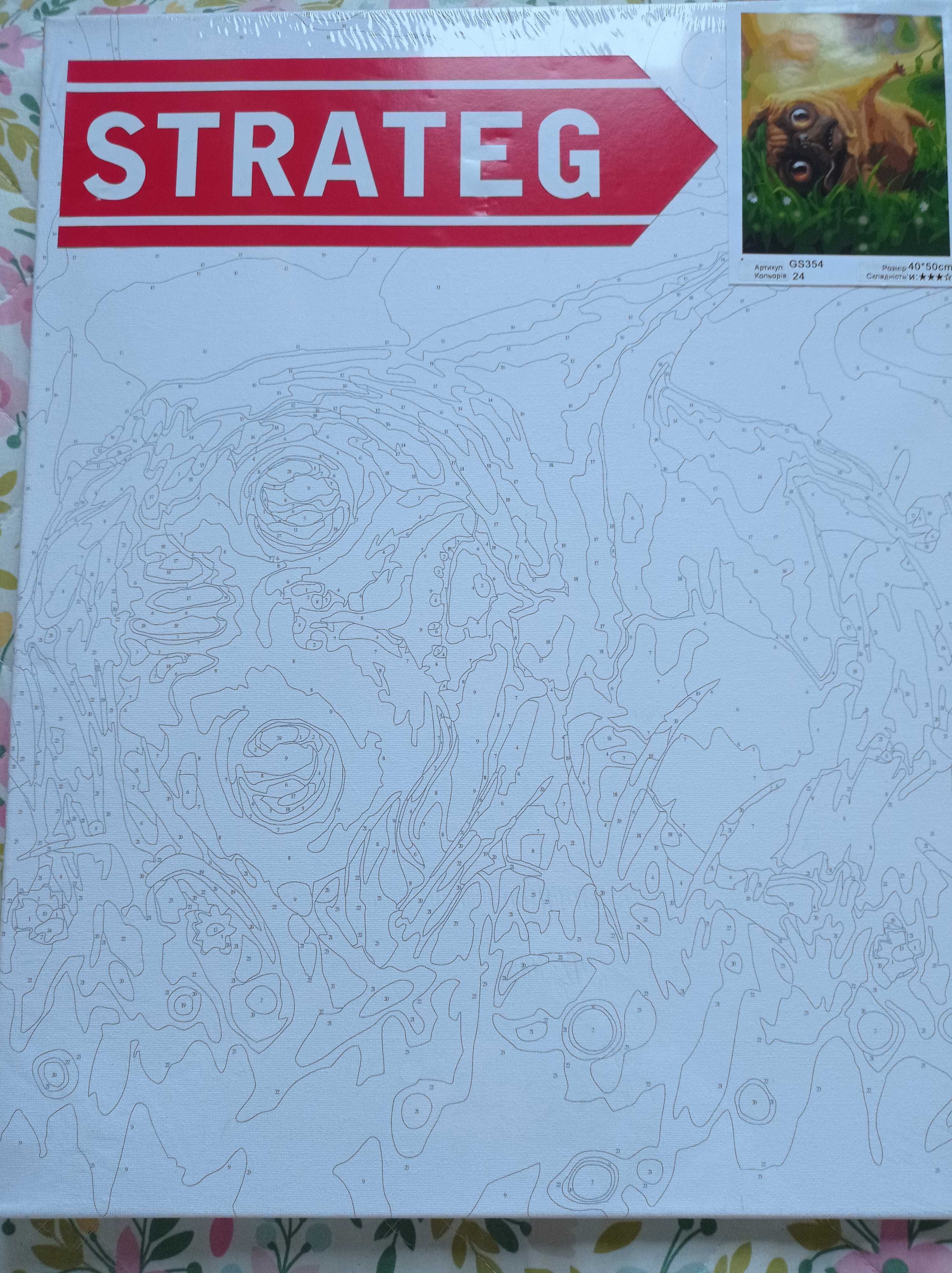 Картина по номерам раскраска 40*50см STRATEG GS354 Мопс відпочиває