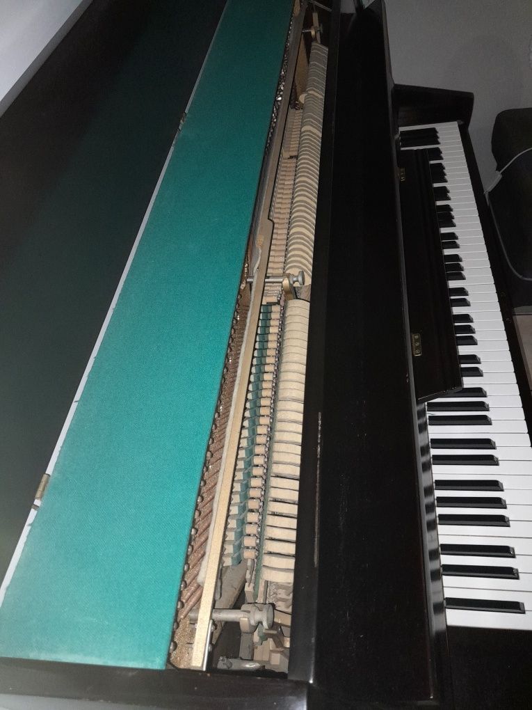 Pianino offberg venge kolor