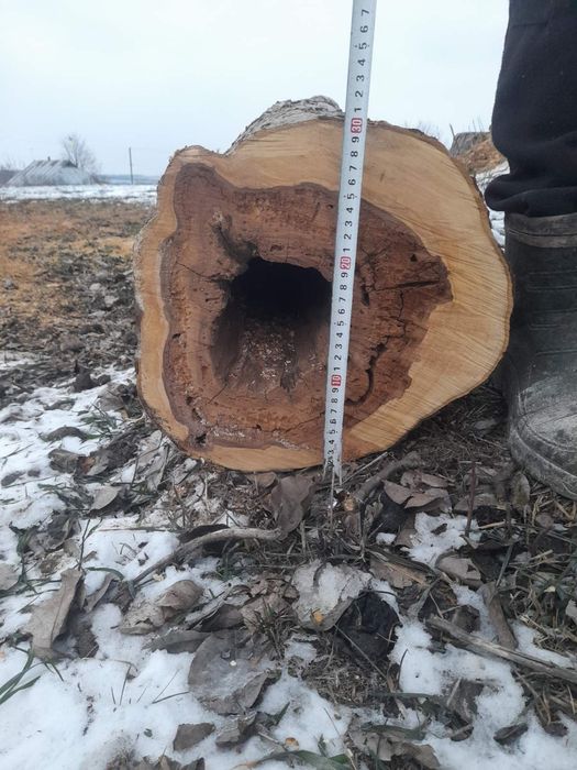 Стовбур грушi Ствол дерева груши декор