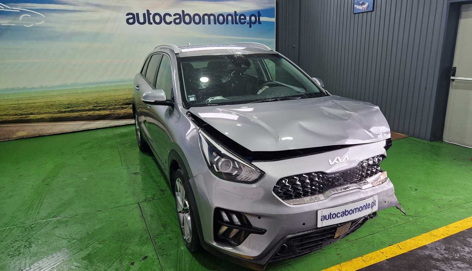 Kia Niro 1.6 GDI HEV Tech - Salvado