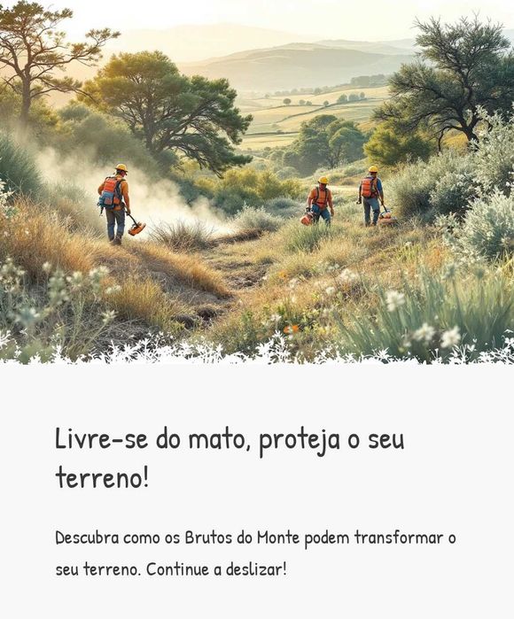 Brutos do monte limpeza de terrenos