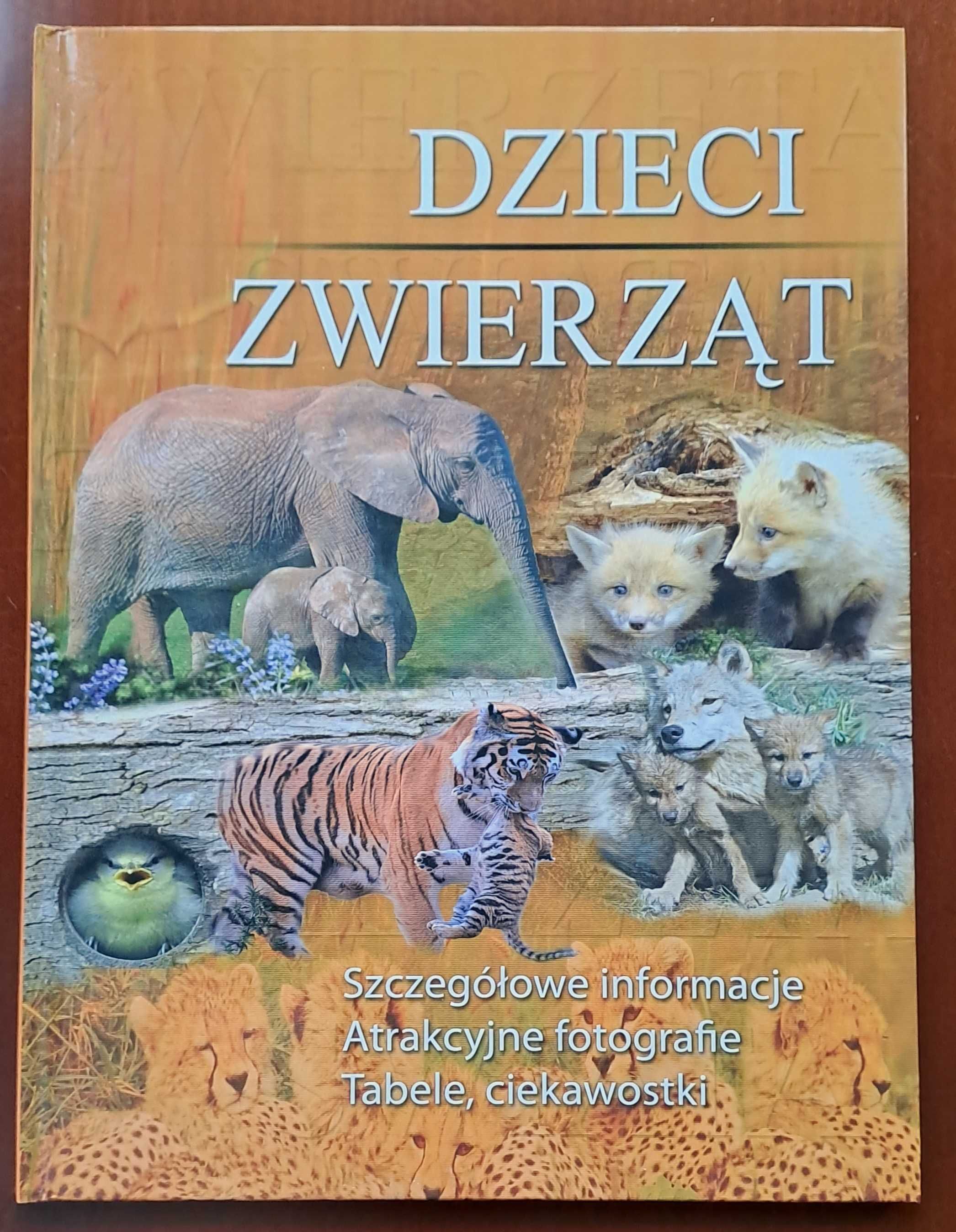 Dzieci zwierząt : szczegółowe informacje, atrakcyjne fotografie