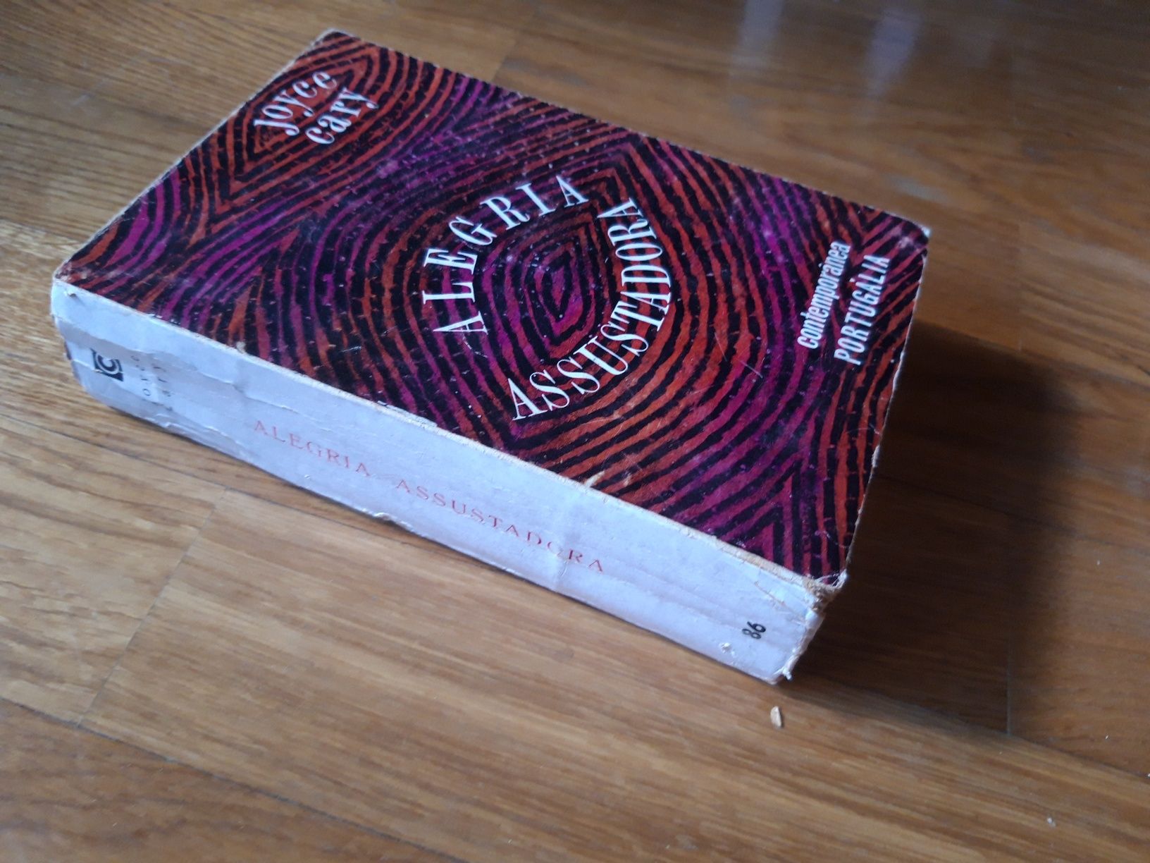 Livro "Alegria Assustadora" de Joyce Cary