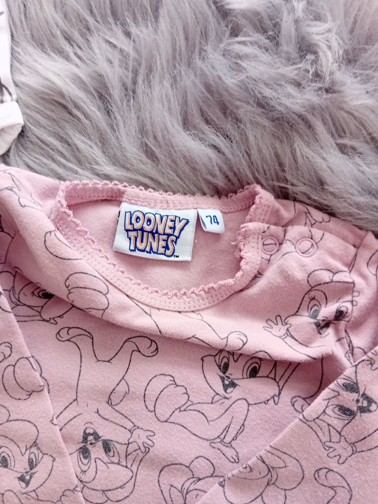 Zestaw komplet r.74 Looney Tunes body bluza legginsy