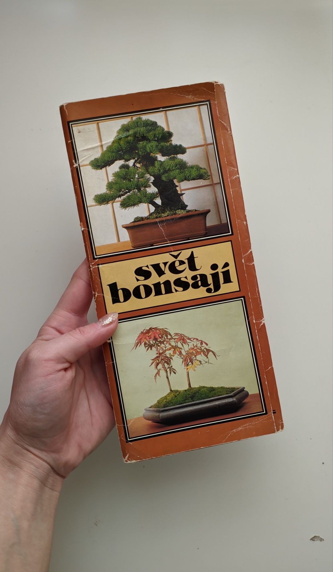 Pack postais vintage sobre Bonsai do Japão