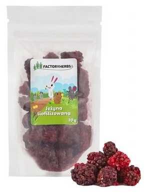 FACTORYHERBS mix warzyw i owoców dla gryzoni! 6 opakowań!!