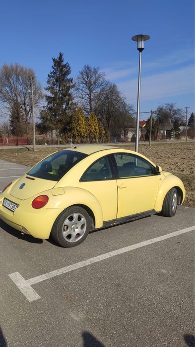 New beetle garbus 99r
