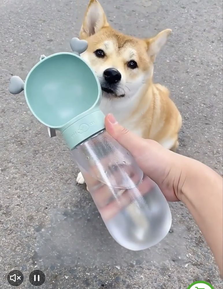 Поїлка для песика