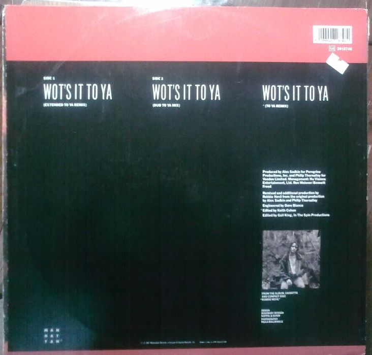 Roger Hodgson "Hai Hai" + Robbie Nevil "Wot's it To Ya"