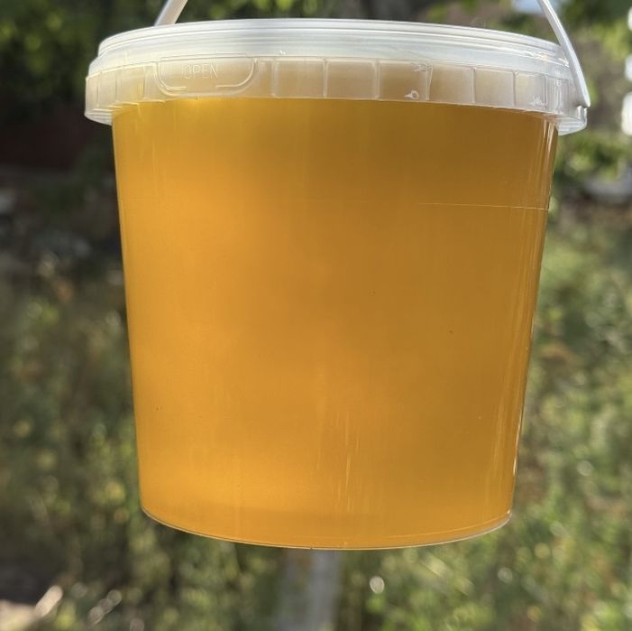 Соняшниковий мед