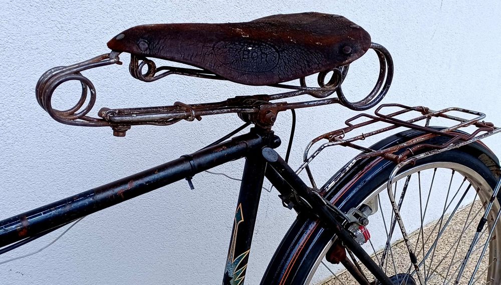 Bicicleta Pasteleira  EFS ORIGINAL