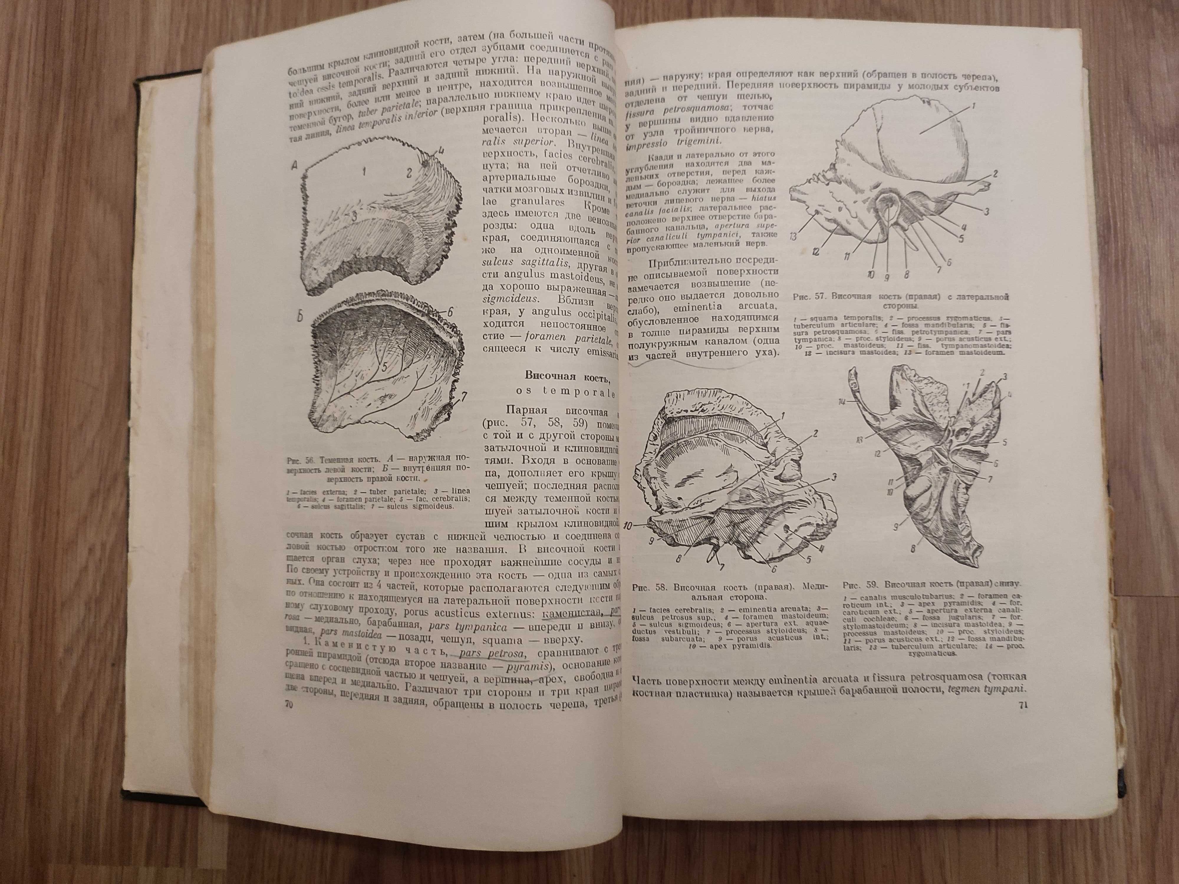 "Учебник нормальной анатомии человека",  Тонков В.Н., т.1, 1953 г