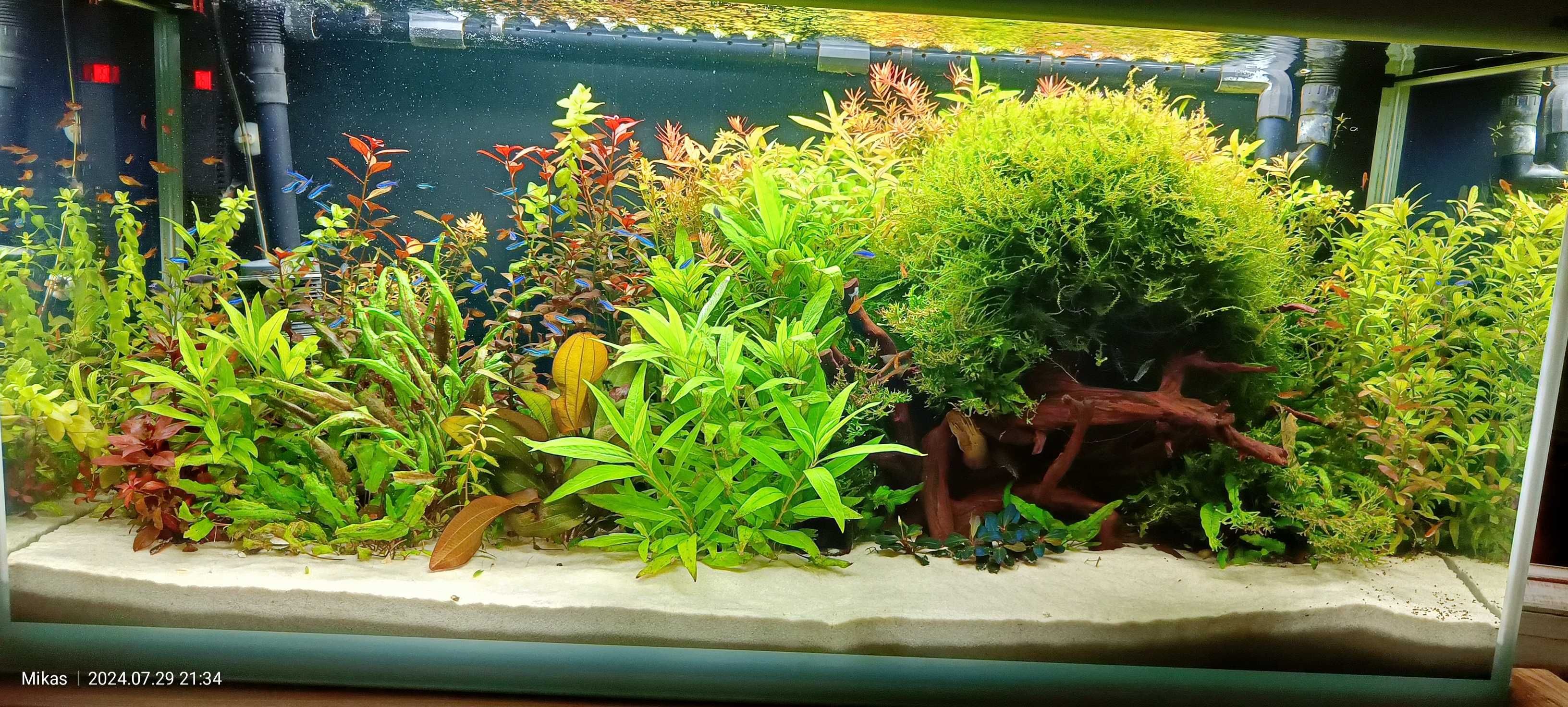 Filtr kubełkowy Fluval FX4 z prefiltrem EHEIM i deszczownicą Fluval