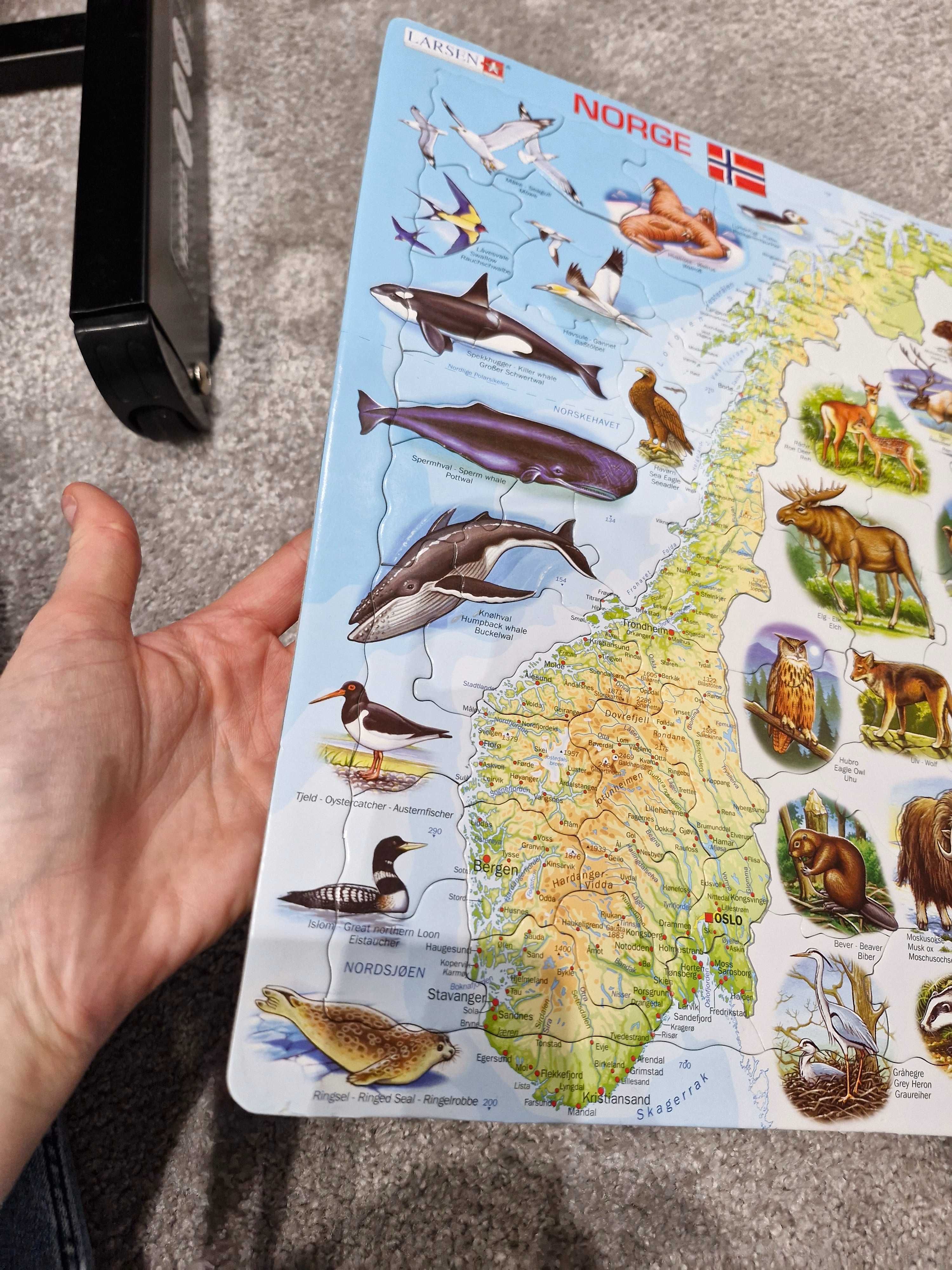 Puzzle z Norwegii ze zwierzętami