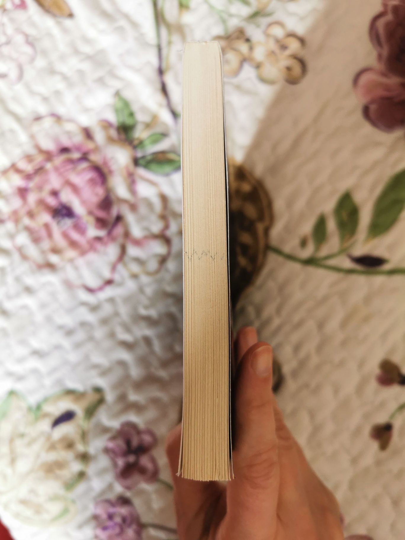 Terra de Neve de Yasunari Kawabata