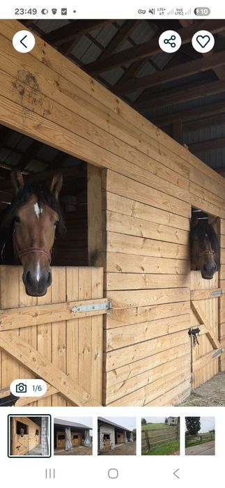 Sprzedam 3 klacze , jedna źrebna