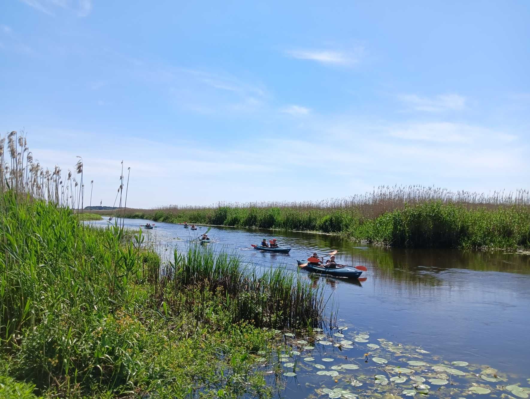 Wypożyczalnia kajaków, Spływy kajakowe rzeką Narew, Kajakiem po Narwi