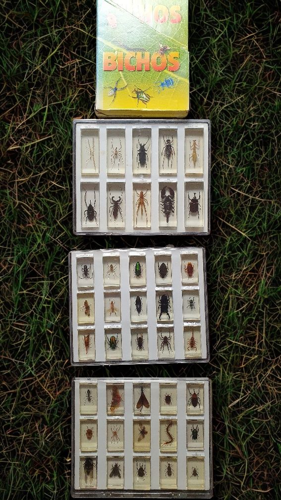 Colecção completa insectos