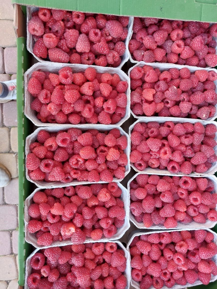 Ekologiczne maliny, czytaj ogłoszenie :)