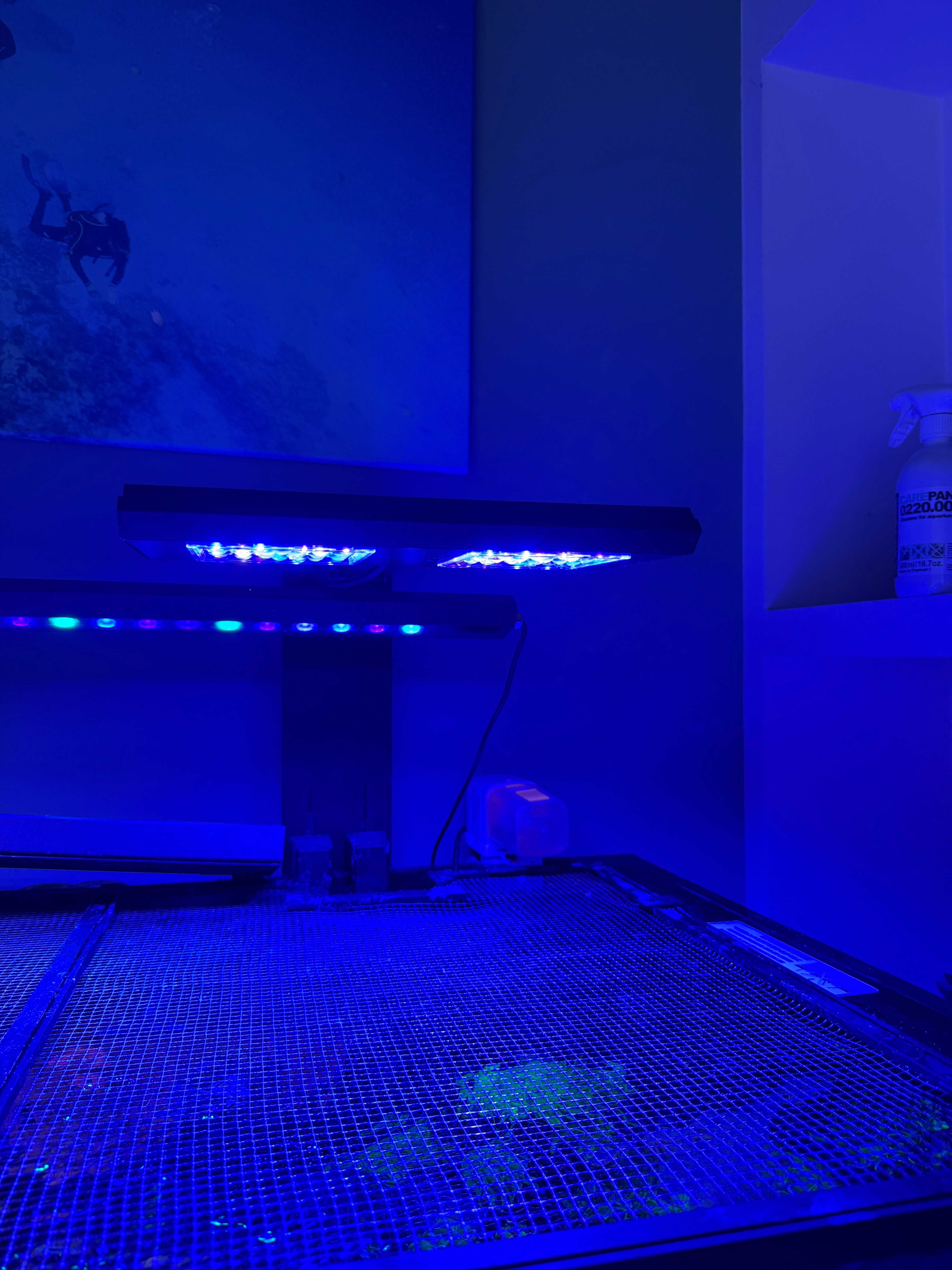 Reef Flare Pro M Blue - Zestaw 2 sztuki + uchwyty
