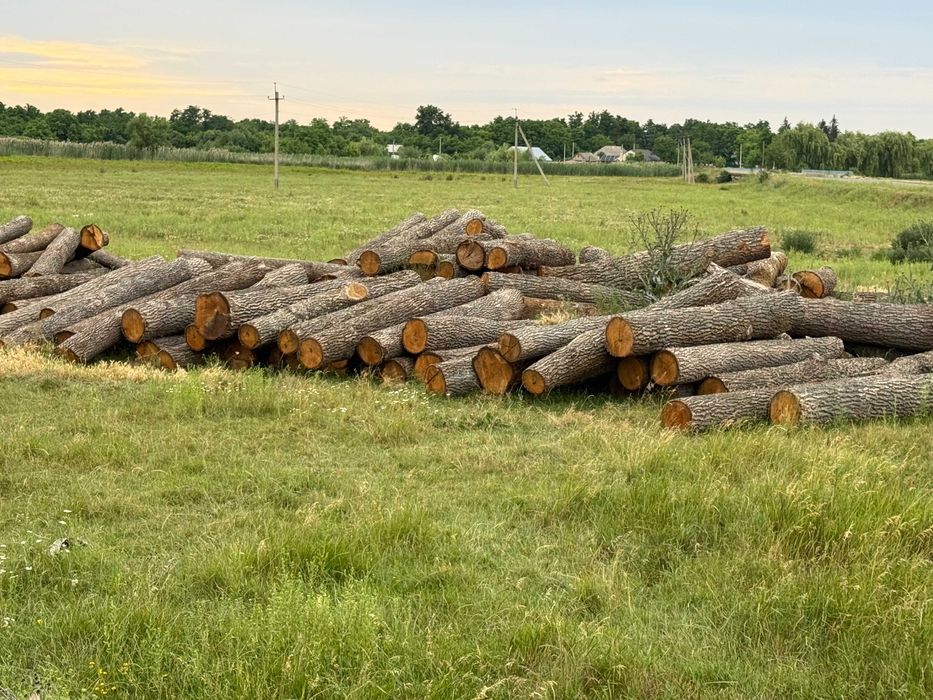 Продаємо дрова твердих порід Балта. Доставка по району