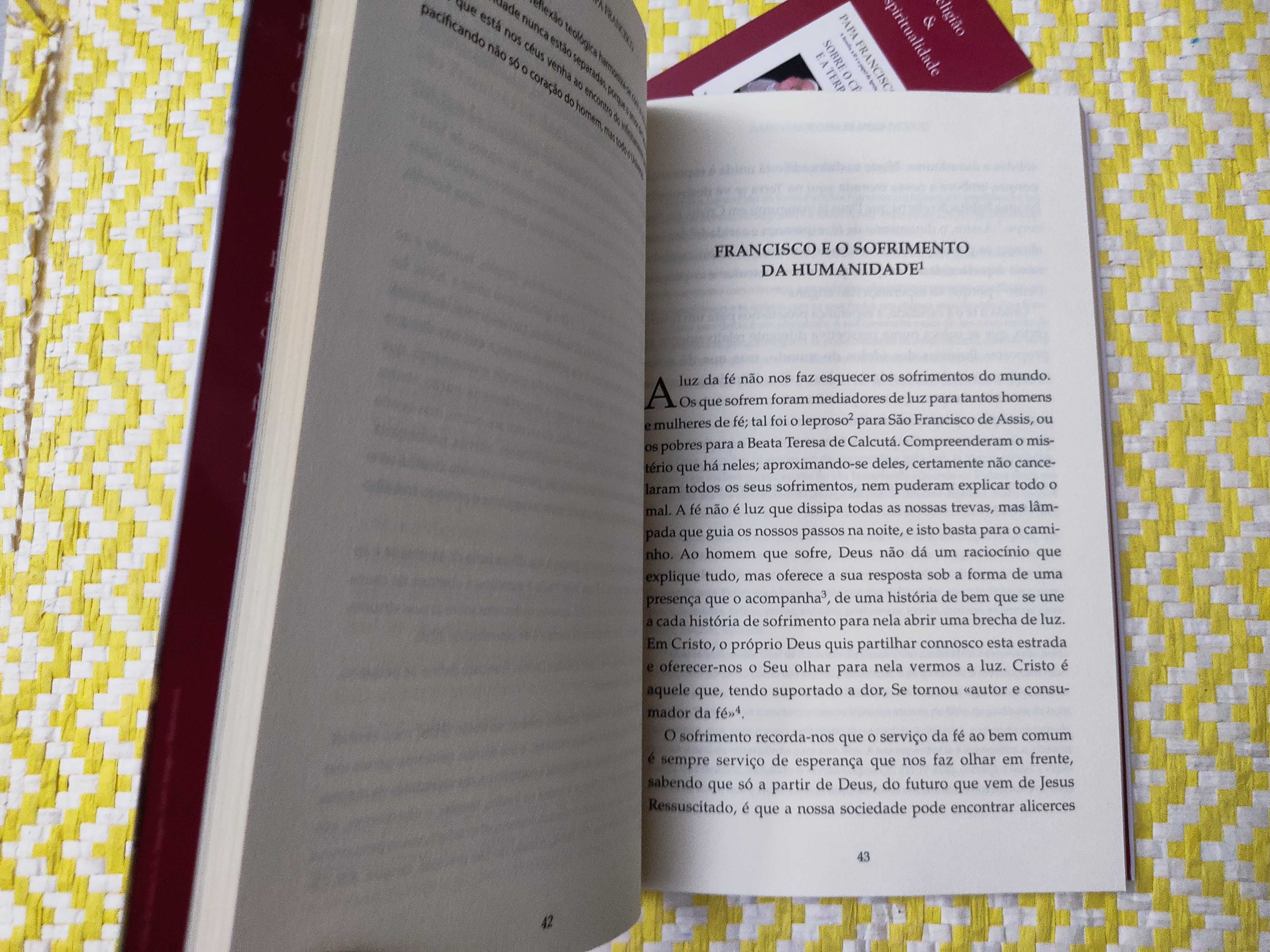 A Mensagem de São Francisco 

de Papa Francisco